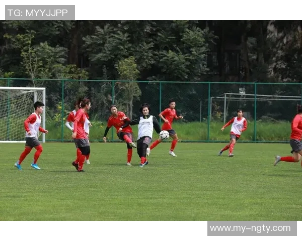 探索板扎足球全集的魅力与技巧揭秘,带你领略足球的无限可能与激情 探索板扎足球全集的魅力与技巧揭秘,带你领略足球的无限可能与激情